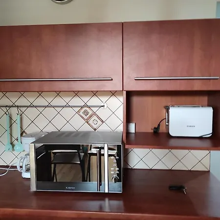 Wiselka Studio Apartment *