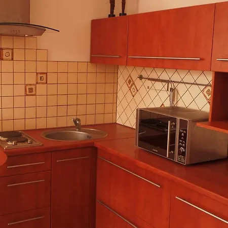 Wiselka Studio Apartment *