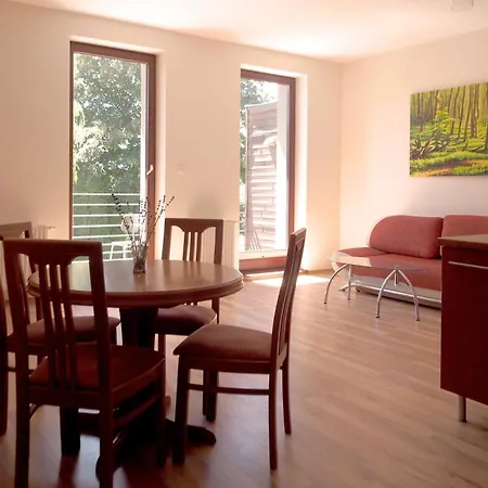 Wiselka Studio Apartment
