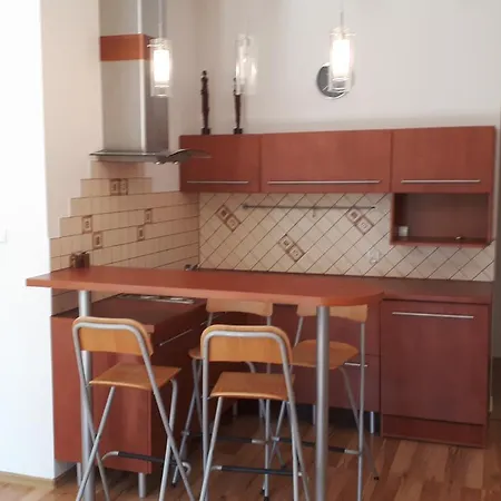 Apartamento Wiselka Studio Wisełka