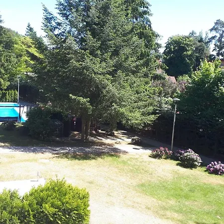 Wiselka Studio Apartment
