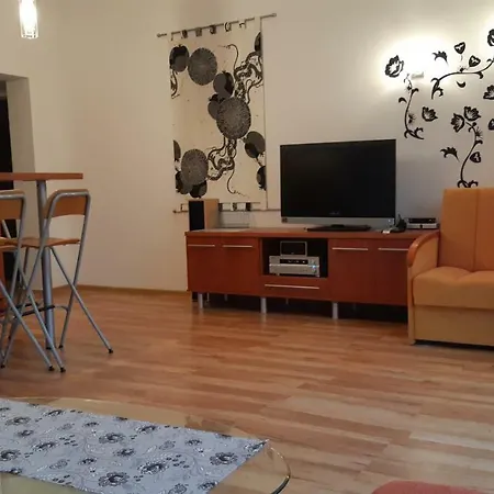 Wiselka Studio Apartamento