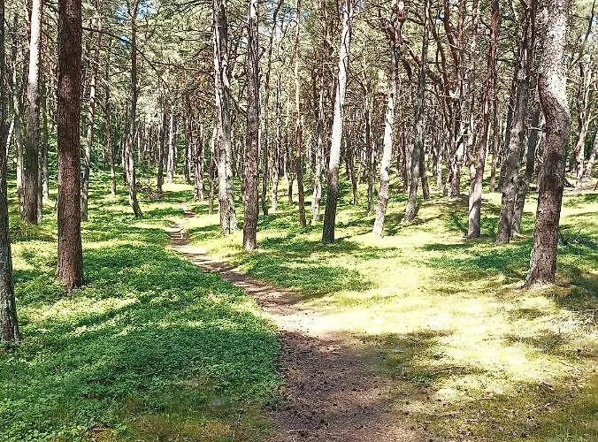 Wiselka Studio Lägenhet