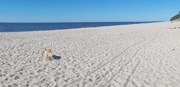 Wiselka Studio Lägenhet *