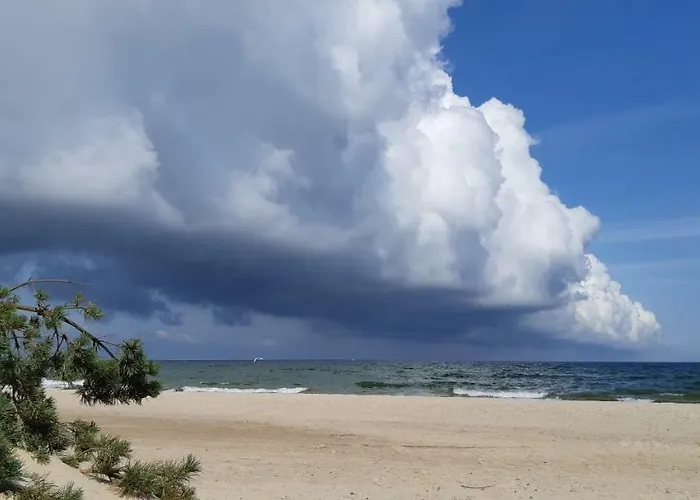 Wiselka Studio * Wisełka