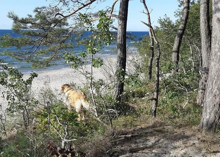 Wiselka Studio * Wisełka